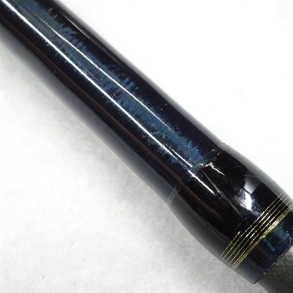 ０９カーディフＸ１１０ＭＨ
